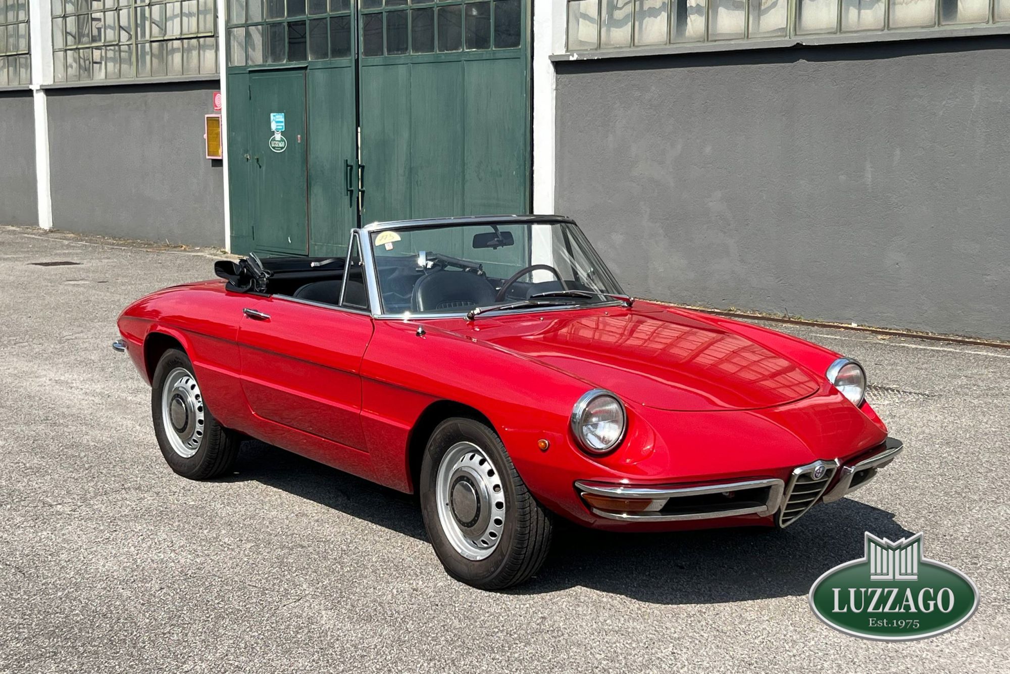 Alfa Romeo - Junior Spider 1300 round tail